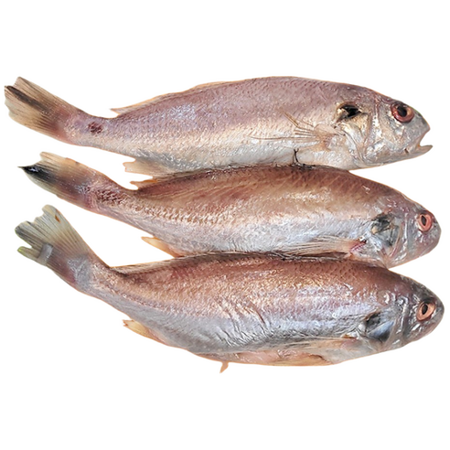 백조기,백조기:국내산,(90~110G/EA)10미/PAC