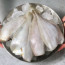 가자미소제,특별사양,러시아산,KG,150G/EA,조림용