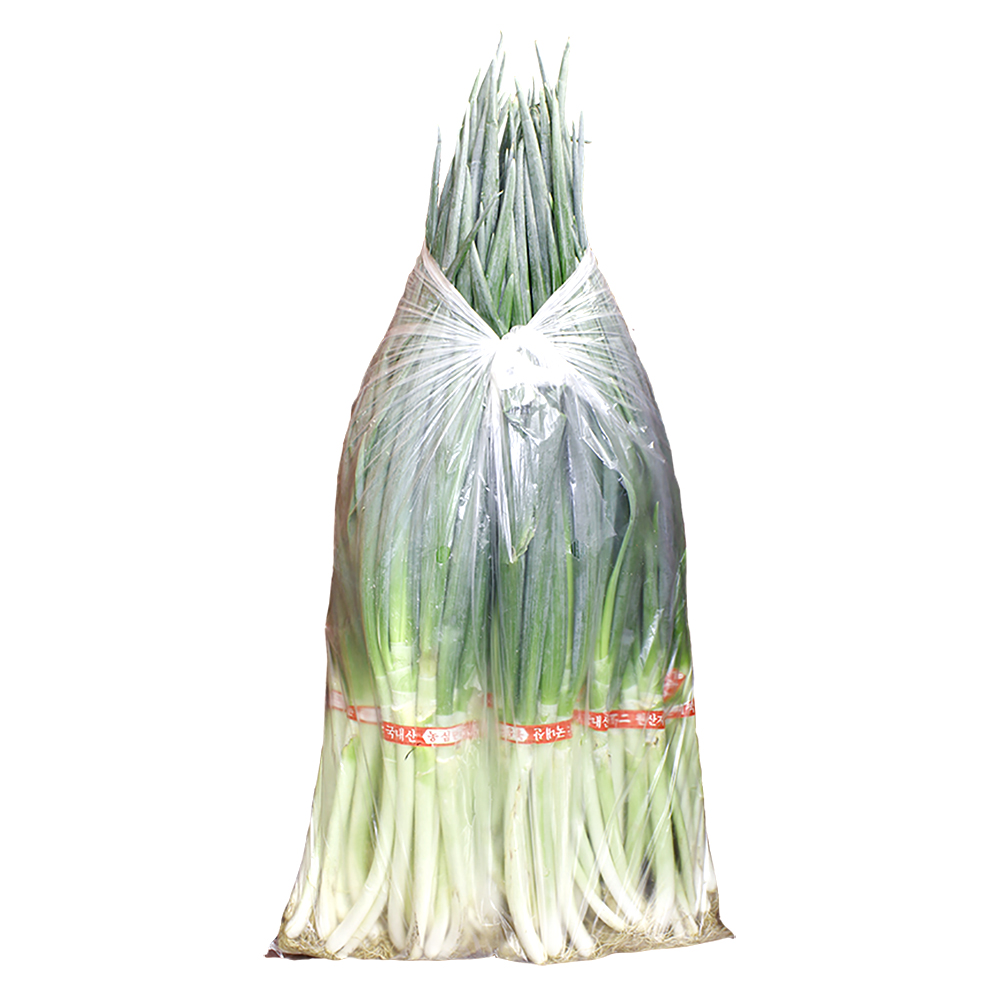 대파 10단 중앙 10kg