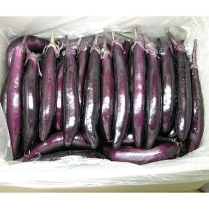 가지(50개입, 상)
