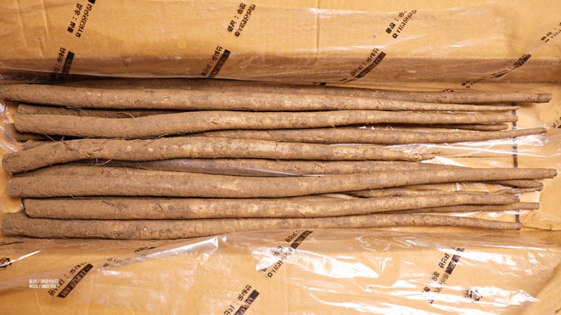 국산우엉(상)&4kg