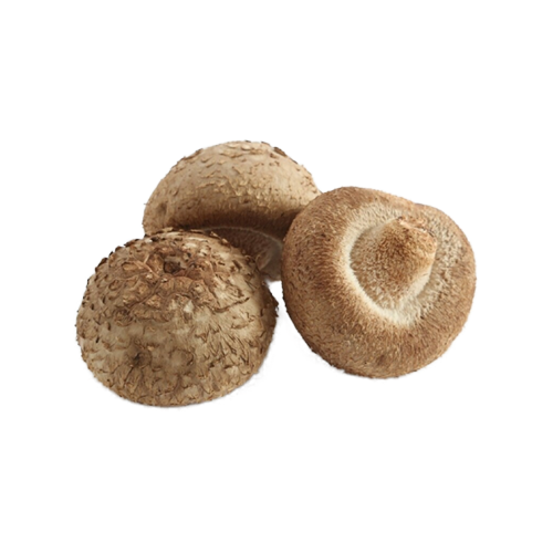 수입표고(2L)&4kg(1kg)