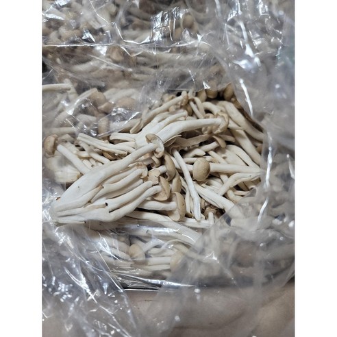 만가닥(갈색)&2kg(1kg)