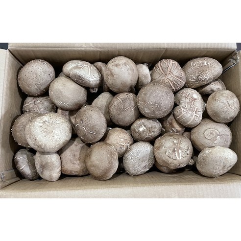 수입표고(2L)&4kg