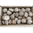 수입표고(2L)&4kg