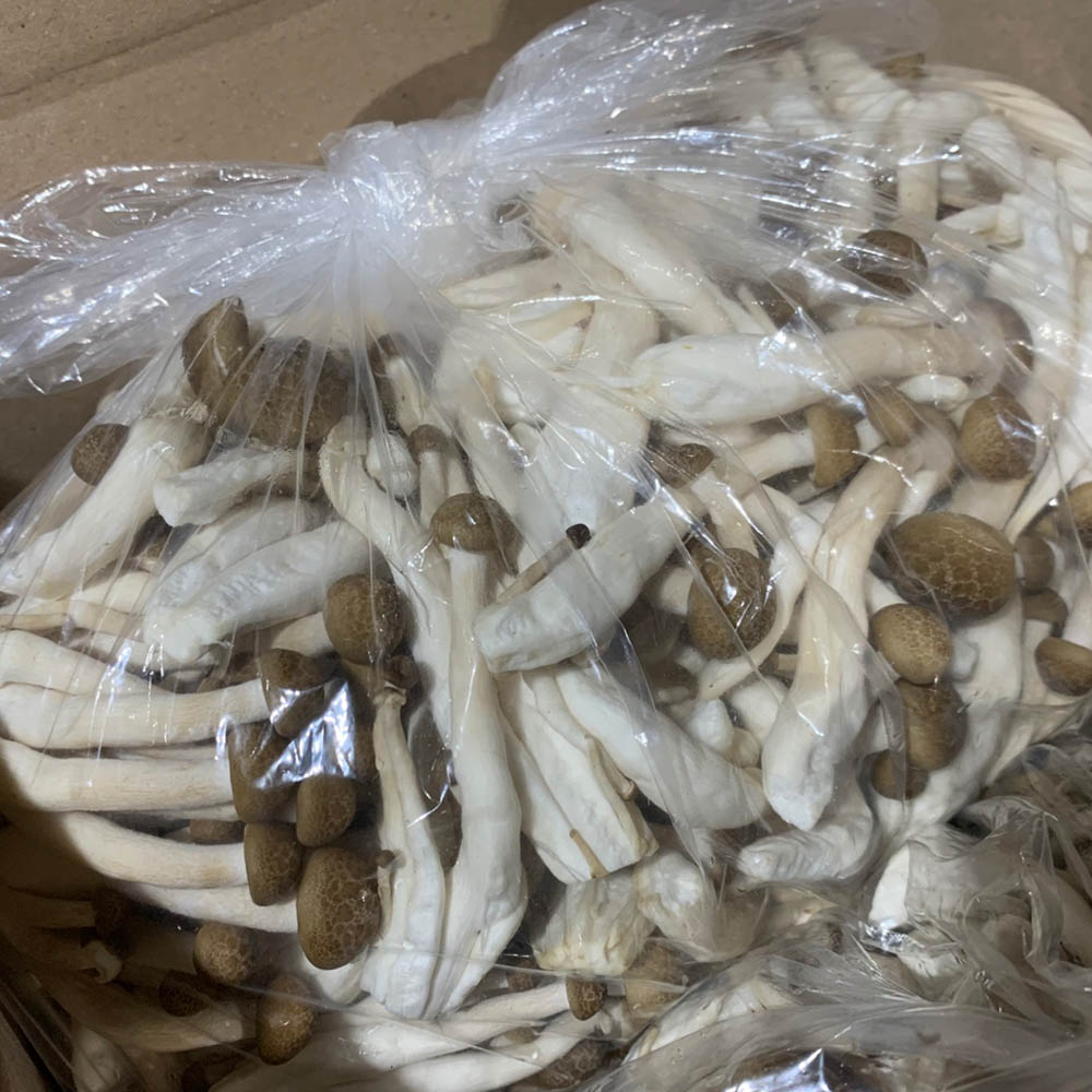 만가닥(갈색)&2kg