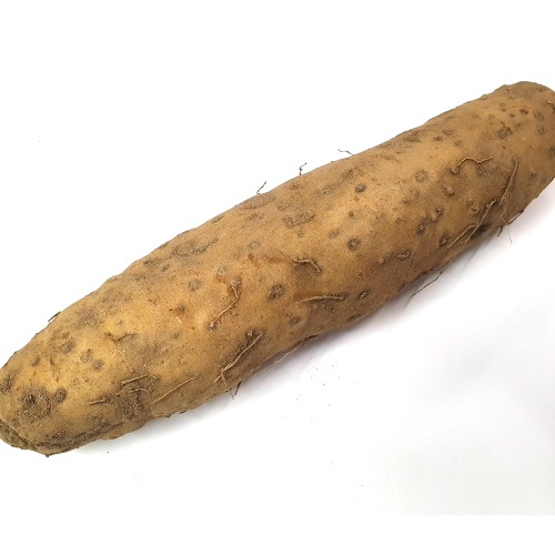 장마(상)박스&10kg(1kg)