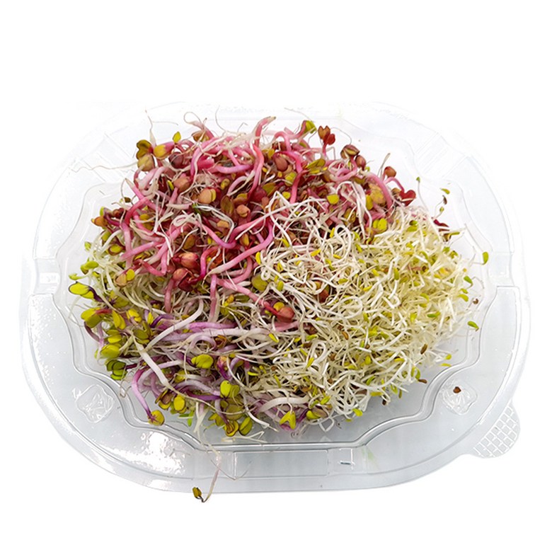 500g)새싹&0.5kg