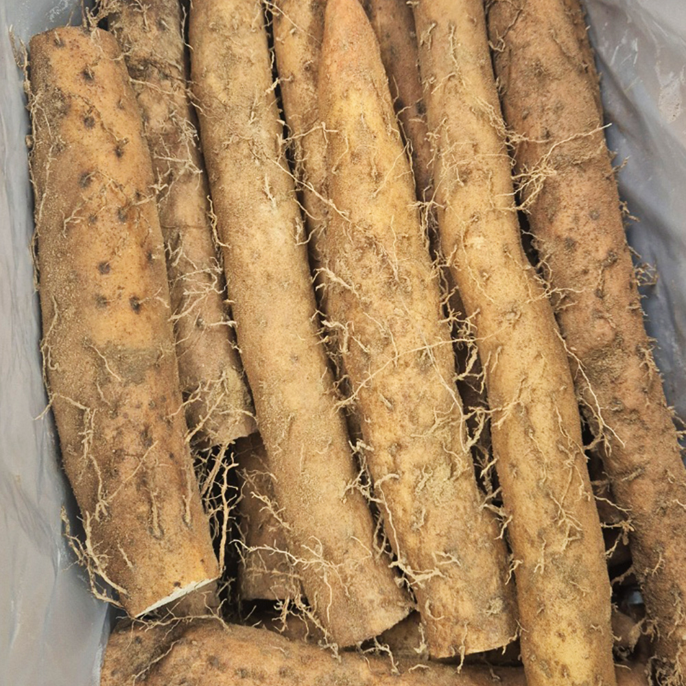 장마(상)박스&10kg