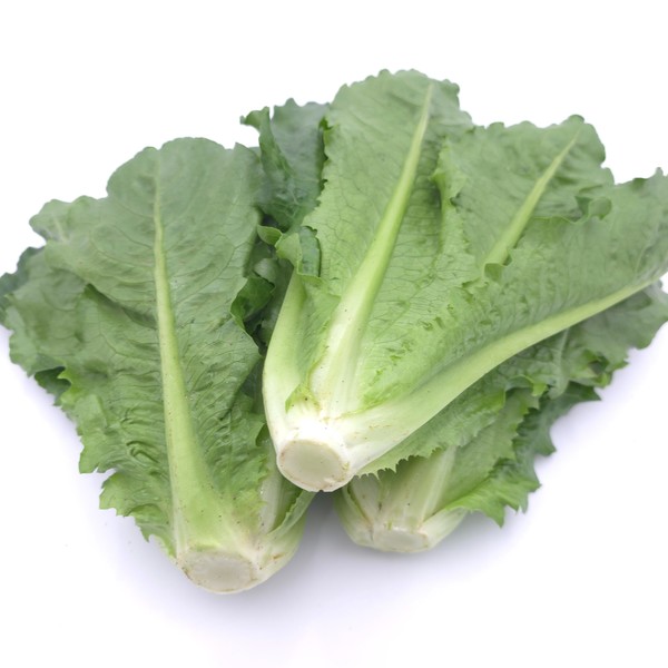 통로메인&2kg(1kg)