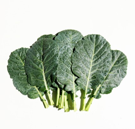 (2kg)케일&2kg(1kg)