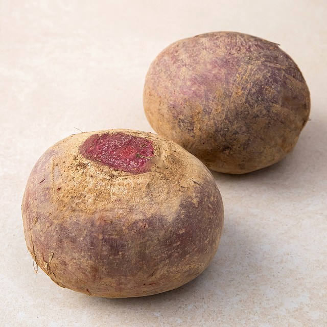 비트&10kg(1kg)