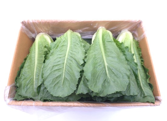 로메인&2kg