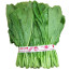 (단)돌갓&1.8kg(1kg)