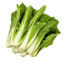 (단)얼갈이①&1.5kg(1kg)