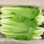 얼갈이(특)&4kg(1kg)