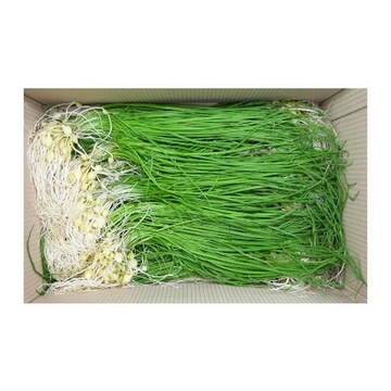 달래(봉)&1kg