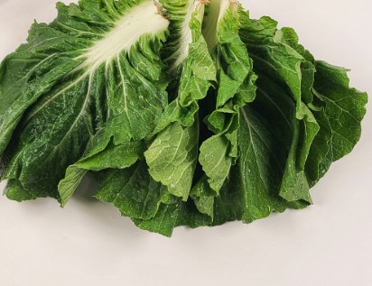 쌈추&1kg