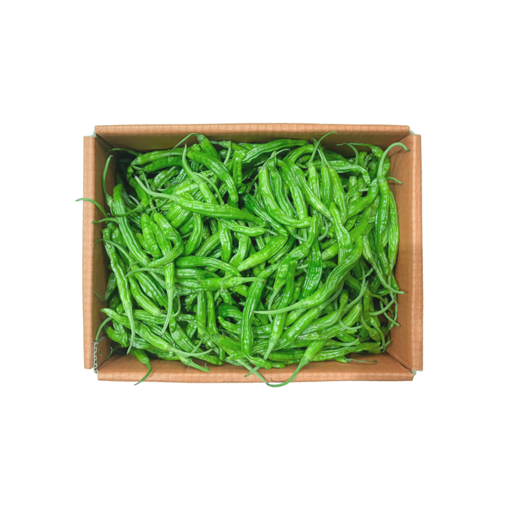 꽈리고추(상)