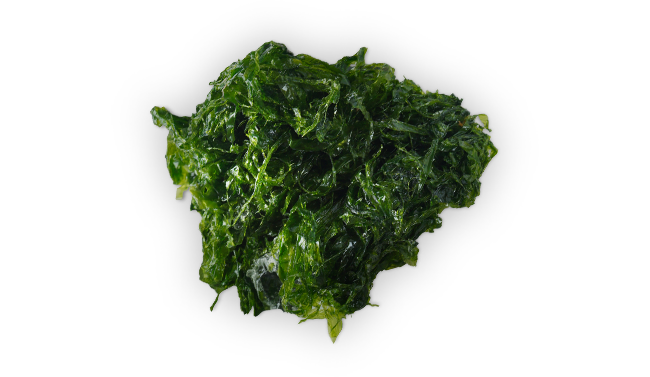 파래(2kg)&2kg(1kg)